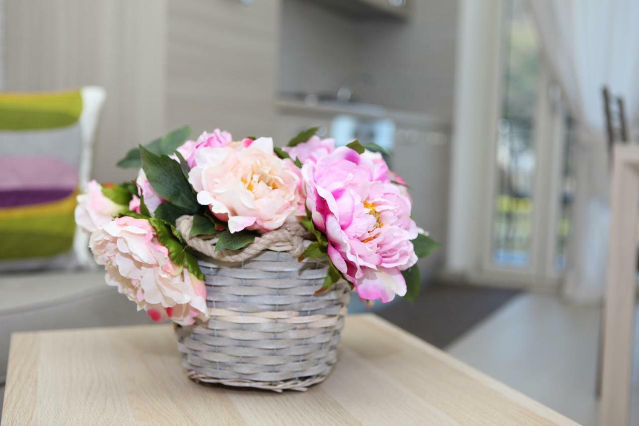 Rosy House - Hospitality Apartment Pimonte Bagian luar foto